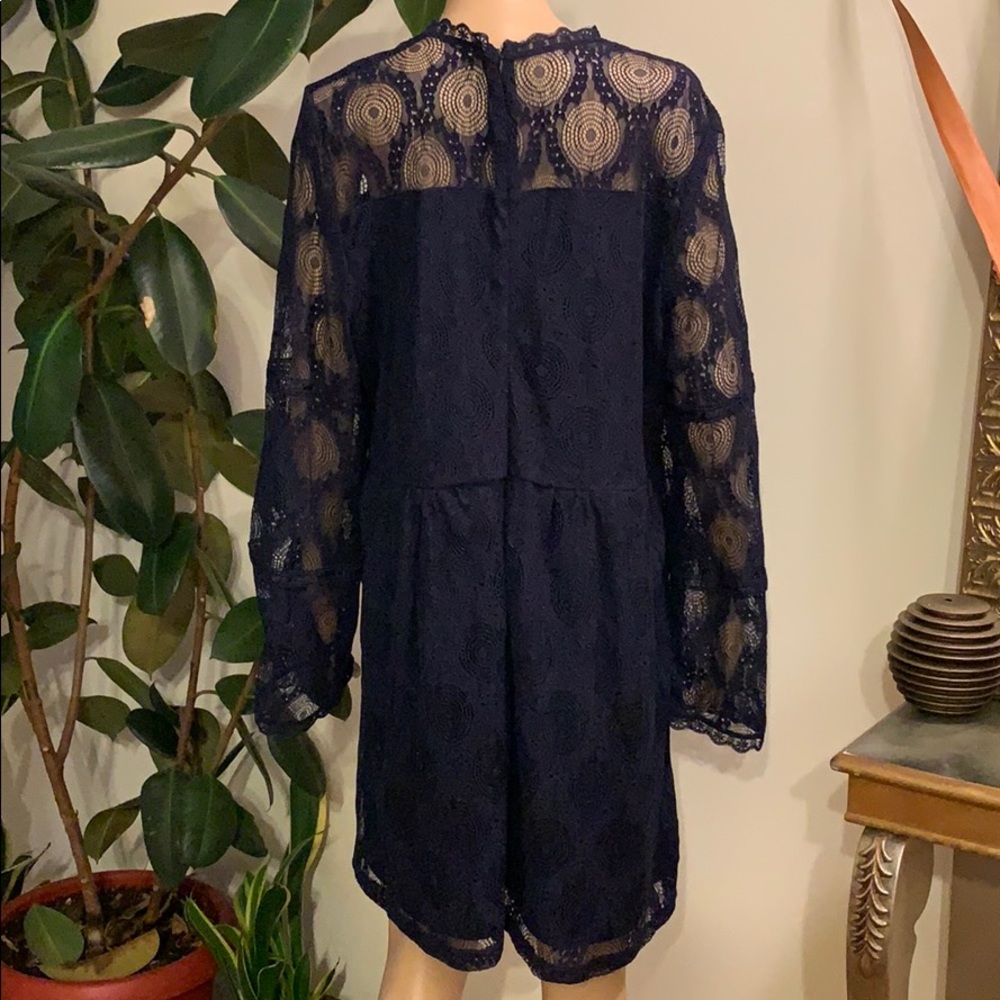 Beautiful Lace Overlay Dress - Picture 6 of 8